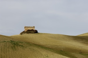 colline, collina, casolare, erba, cielo, terra, campi, campagna, casa, verde, azzurro, paesaggio, rudere, campo, ondulazioni