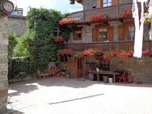 finestre, fiori, verde, cortile, balconi, casa, legno, vasi, porta, tavolo, rampicante, piante, rosso, siepe, secchi, porte, bidoni