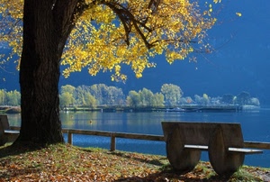 panchina, lago, foglie, giallo, autunno, acqua, albero, rami, alberi, staccionata, tronco, panorama, blu, azzurro, controluce, piante, riflesso