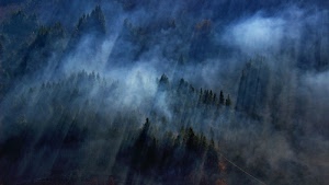 alberi, nebbia, bosco, nuvole, raggi, luce, foschia, verde, bianco, tempesta, colline