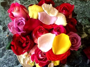 giallo, fiori, rose, rosso, rosa, petali, mazzo, bianco, boccioli, verde, colori