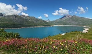 lago, nuvole, fiori, montagna, acqua, montagne, cielo, verde