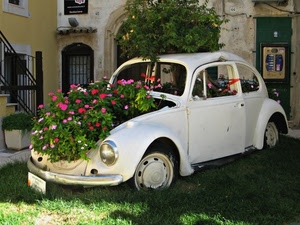 fiori, prato, auto, automobile, maggiolino, bianco, rottame, verde, piante