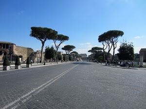 strada, pini, alberi, roma, cielo, colosseo, persone, ruderi, azzurro, verde, prospettiva, viale, marciapiedi, via, case, asfalto, nuvole, strisce, fori, vasi, rami