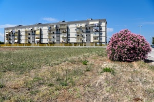 fiori, erba, cespuglio, balconi, prato, periferia, rosa, cielo, finestre, casa, palazzo, azzurro, verde, campo, pianta, condominio, palazzi, case, edificio
