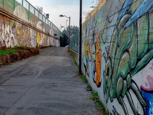 murales, lampioni, strada, asfalto, graffiti, erba, verde, pali, muri, alberi, via, bianco, colori, cielo, ringhiera