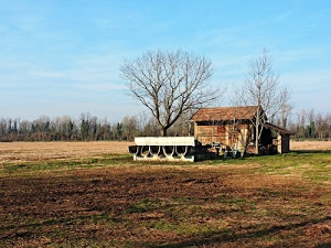 alberi, casolare, cielo, campagna, campi, casa, terra, verde, tetto, inverno, marrone, tettoia, cascina, erba, prato, azzurro, spogli, campo, finestre, terreno, rami