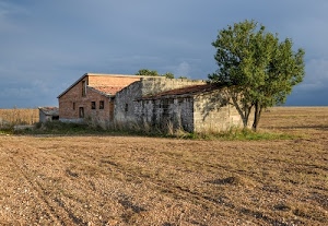verde, albero, cielo, finestre, campagna, azzurro, casolare, alberi, terra, erba, nuvole, terreno, casa, pianura, campo, cascina