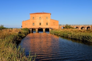 acqua, ponte, archi, casa, fiume, cielo, finestre, erba, azzurro, riflesso, canale, edificio, verde, colonne, blu