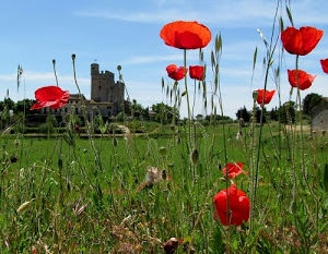 papaveri, rosso, castello, verde, fiori, cielo, erba, petali, prato, boccioli, campo, natura, azzurro, steli, edificio