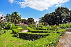 verde, fiori, giardino, cielo, alberi, siepi, nuvole, aiuole, palma, piante, parco, azzurro, erba, giardini, vialetti