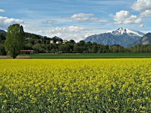 nuvole, giallo, alberi, neve, montagna, case, colza, verde, cielo, campagna, campo, panorama, prato, fiori, albero, montagne, erba, fiorito, azzurro, gialli, coltivazione