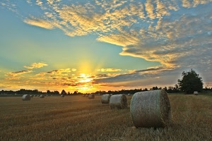 tramonto, nuvole, alberi, campagna, sole, cielo, balle, campo, alba, fieno, pianura, azzurro, campi, rotoli, grano, verde, albero, raggi, rotoballe, panorama