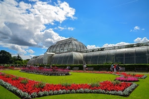 fiori, nuvole, alberi, cielo, aiuole, piante, rosso, giardino, verde, serra, erba, giardini, azzurro, prato, panchine, parco, aiuola, edificio, persone