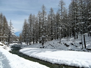 neve, alberi, inverno, torrente, ponte, bianco, fiume, acqua, pini