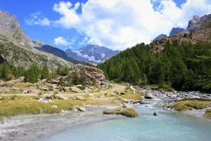 montagna, nuvole, alberi, torrente, acqua, fiume, montagne, sassi, panorama, bosco