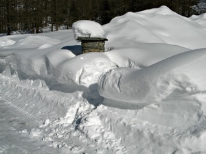 neve, alberi, inverno, bianco, comignolo, bosco, strada, montagna