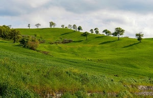alberi, verde, erba, nuvole, prato, cielo, colline, collina, campagna, prati, ombre, campi, sassi