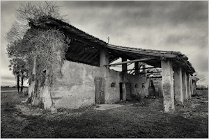 rudere, porte, colonne, bianconero, nuvole, travi, alberi, tetto, cielo, prato, casale, finestre, campagna, rovina, cascina, casa, grigio, tettoia, rovine, casolare