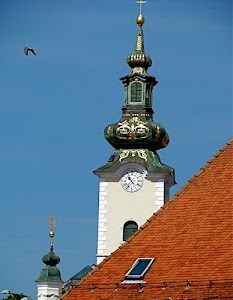 tetto, campanile, orologio, tegole, campanili, cielo, uccello, azzurro, croce, chiesa, torre, finestre, lucernario, lancette, marrone, cupole
