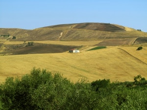 colline, alberi, campi, campagna, verde, paesaggio, collina, panorama, giallo, casolare, casa, cascina
