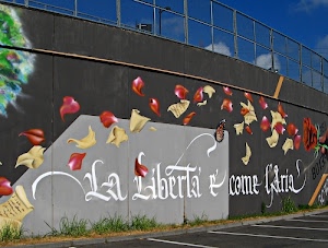 muro, parole, murales, erba, cielo, scritta, petali, rosso, bianco, foglie, strada, frase, nero, verde, grigio, nuvole, fogli, strisce, lettere, murale, rosa