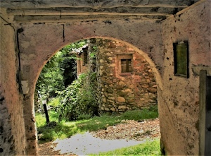 arco, finestra, casa, erba, verde, piante, passaggio, pietre, alberi, sassi, pietra, travi, rovi, prato, ruderi, case, rudere, rovine, abbandono, muri, casolare