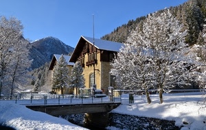 neve, alberi, ponte, case, montagne, inverno, montagna