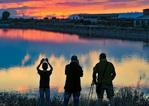 tramonto, acqua, lago, fotografi, tre, case, nuvole, riflessi, cielo, controluce, arancione, persone, alberi, fotografare, riflesso, ragazzo, fiume, cavalletti, sera, rosa