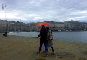 ombrello, camminare, palazzi, acqua, città, lampione, due, zaino, rosso, case, nuvole, cielo, mare, pioggia, coppia, finestre, donne, automobili, ragazze, passeggiare, maltempo, lungomare, persone