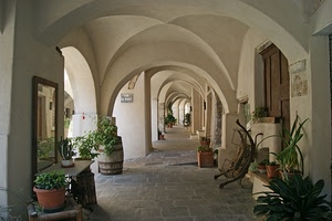 piante, portico, archi, specchio, botte, vasi, porte, portici, pilastri