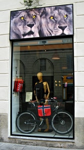 leoni, bicicletta, vetrina, manichino, riflesso, borse, borsa