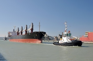 nave, porto, mare, rimorchiatore, acqua, canale, traino, navi, azzurro, cielo, alberi, rosso, bianco, petroliera, fune, rimorchiatori, cavo, mercantile, trasporto