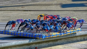 occhiali, lenti, giallo, rosso, colori, sole, blu, nero, vetro, bancarella, azzurro, riflesso, riflessi, tanti, montature, scalino, plastica