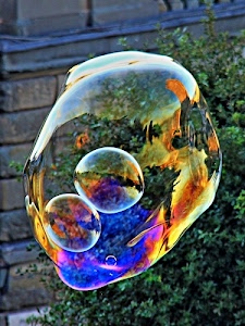 bolla, verde, sapone, bolle, trasparente, colori, trasparenza, giallo, muro, multicolore, blu, mattoni, piante, foglie, cespuglio, cerchi, riflesso, leggerezza, riflessi