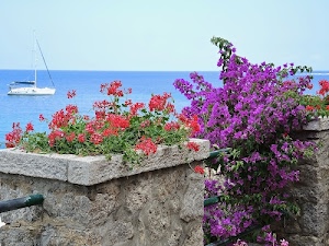 mare, fiori, rosso, cielo, barca, verde, gerani, azzurro, viola, orizzonte, imbarcazione, cemento, bianco, foglie, grigio, fiore, vasi, rami