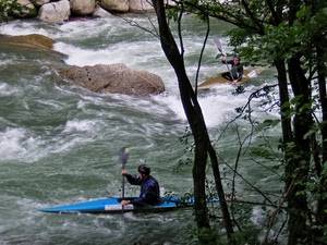 fiume, canoa, alberi, acqua, sport, torrente, rapide