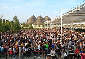 folla, alberi, gente, tettoia, tetti, persone, tanti, coni, verde, molti, pali, edifici, costruzioni, cupole