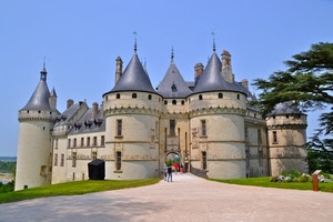 castello, torri, cupole, cielo, medioevo, finestre, prato, albero, entrata, loira