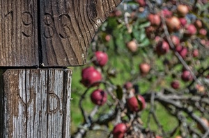 legno, iniziali, data, rami, incisione, numeri, frutta, melograno, mele, macro