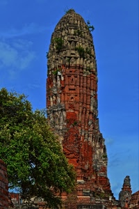 albero, cielo, monumento, torre, mattoni, verde, rosso, ruderi, rudere