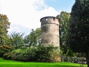 torre, alberi, verde, piante, cielo, erba, prato, nuvole