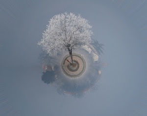 albero, bianco, cerchio, riflesso, grigio, inverno, nebbia, galaverna, brina, rami, alberi