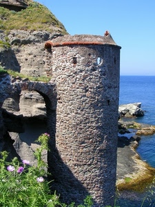 mare, torre, arco, acqua, scogli, erba, rocce, fiori, costa