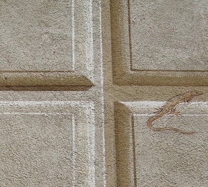 lucertola, muro, disegno, quadrati, croce, bianco, murales, iguana