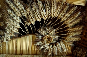 spighe, grano, spirale, paglia, legno, composizione, oro, nero, chiocciola