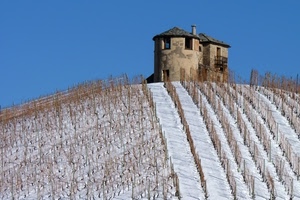 neve, collina, filari, cascina, inverno, cielo, finestre, bianco, viti, casolare, vigneto, campagna, vigneti, casa, tetti, azzurro