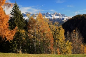alberi, autunno, neve, montagne, montagna, prato