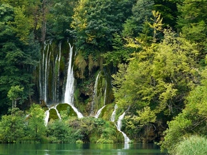 alberi, acqua, cascate, verde, lago, piante, cascata, erba, foglie, bianco, rocce, massi, fiume, laghetto, bosco, rami