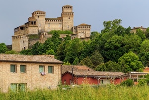 castello, torri, alberi, verde, case, finestre, erba